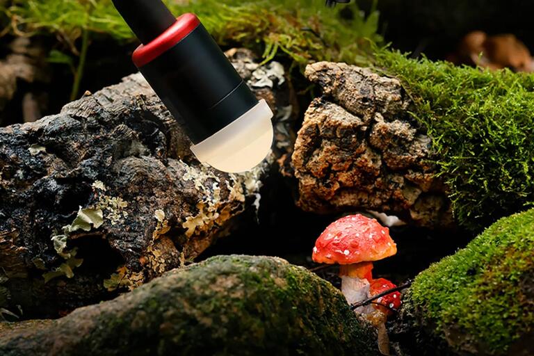 Slik bruker du lys i makrofotografering